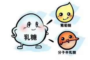 90%以上的人都有“乳糖不耐症”，宝妈春季实力之选